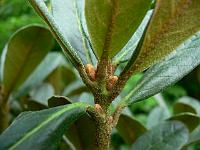 10-07-2007_20-00-21_61