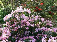 11-05-2006_09-58-17_43