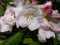 12-05-2006_12-58-02_165