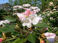 12-05-2006_18-08-27_57