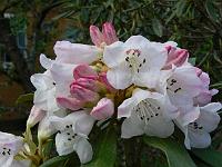 14-05-2006_11-33-29_107