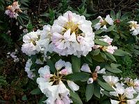 18-05-2006_20-25-27_125