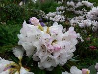 19-05-2006_09-59-39_70