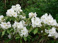 24-06-2006_17-35-09_57