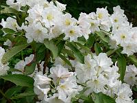 24-06-2006_17-35-14_58