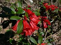 2011-05-02_13-46-22_0034