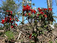 2011-05-05_13-51-49_0084