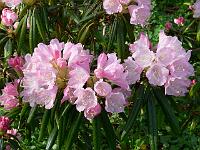 12-05-2006_09-30-02_169