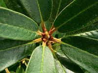 10-07-2007_17-44-28_121