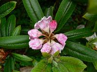 16-06-2006_18-19-09_19