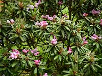 2013-06-12_07-41-46_0088