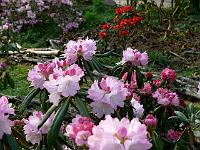 07-05-2006_19-24-16_311