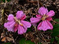 2011-04-03_08-38-02_0021