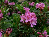 2009-06-11_09-15-33_0095