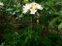 13-06-2007_15-15-23_04