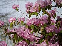 2014-04-10_08-10-48_0056