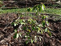 2011-04-10_07-57-49_0030