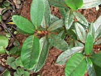 20-09-2006_15-47-04_13