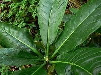 10-07-2007_17-43-58_113