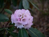 2013-05-08_18-42-24_0061