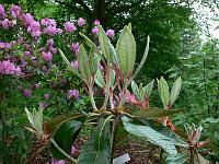 2011-05-26_18-15-42_0040