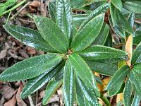 20-09-2006_17-05-20_29