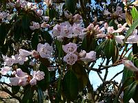 2011-04-11_15-40-22_0025