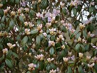 2012-04-07_16-58-49_0082