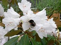 19-05-2006_07-18-29_48