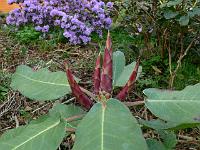 18-05-2006_18-58-17_213