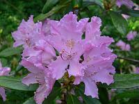 09-06-2006_17-46-59_04