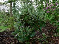 2011-05-26_18-13-53_0022