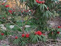 15-04-2006_09-14-38_08