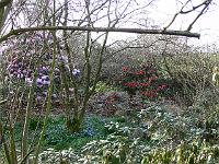 19-04-2006_08-29-07_224