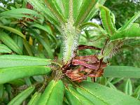 29-05-2006_16-57-30_01