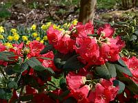 28-04-2006_16-05-32_94