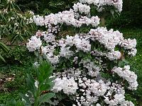 14-05-2006_11-32-43_95