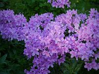 2012-05-24_18-10-12_0067