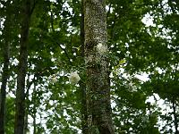 2014-06-20_10-59-39_0113