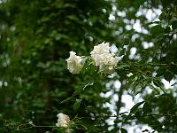 2014-07-03_14-43-59_0009