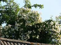 03-07-2006_08-32-08_81