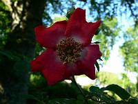 2010-06-16_17-23-23_0019_(2)