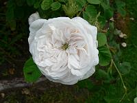 30-06-2006_09-27-27_03