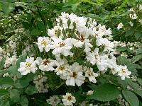 09-07-2006_10-37-15_59