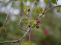 2014-04-12_07-41-43_0015