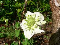 2011-07-08_16-58-59_0014