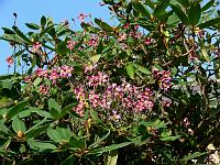 23-08-2007_18-02-55_67