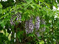 2013-06-13_17-37-45_0003