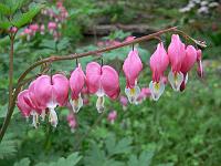 18-05-2006_08-28-43_42