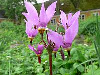 19-05-2006_10-06-06_169